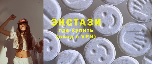 соль ск Дмитриев