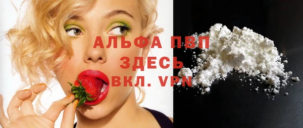 соль ск Дмитриев