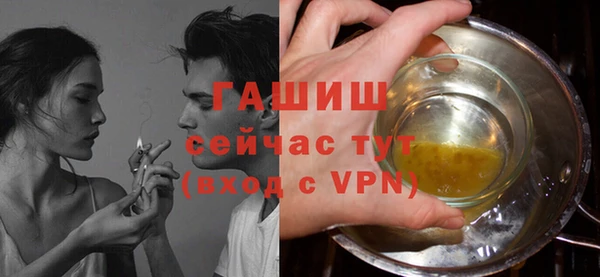 соль ск Дмитриев