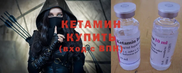 соль ск Дмитриев