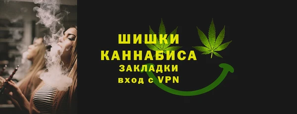 соль ск Дмитриев