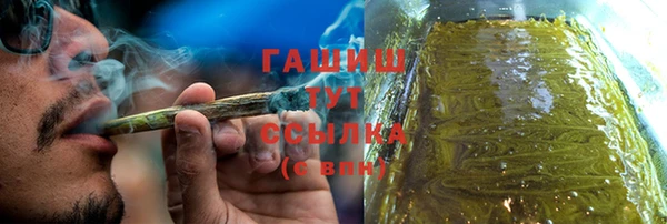 соль ск Дмитриев