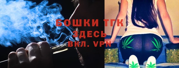 соль ск Дмитриев