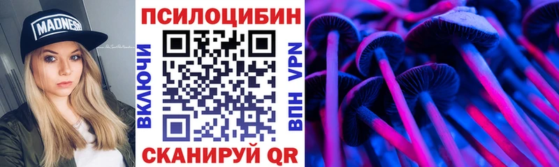 Купить закладки  Советск  Галлюциногенные грибы MAGIC MUSHROOMS 