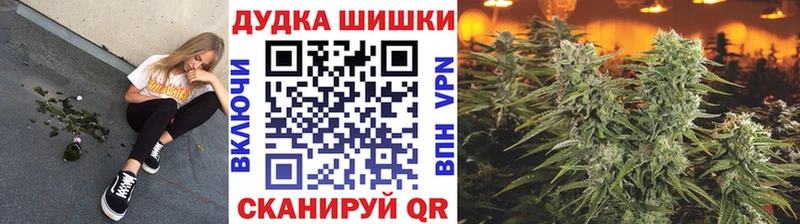 Купить где  Советск  Шишки марихуана сатива 